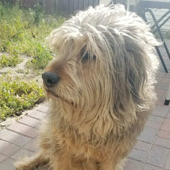 Meet your Posher, Alexandre - Picture 1 of 1